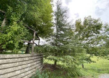 rif 1826 (31).JPEG - Villa a Schiera Località Maddalena 27, Sassello - foto 7