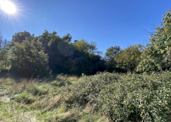 1825 (3).JPEG - Villa Località Chiapuzzo 8, Sassello - foto 9