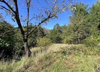 1825 (4).JPEG - Villa Località Chiapuzzo 8, Sassello - foto 10