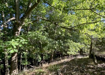 1825 (6).JPEG - Villa Località Chiapuzzo 8, Sassello - foto 11