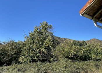 1825 (16).JPEG - Villa Località Chiapuzzo 8, Sassello - foto 21