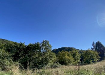 1825 (21).JPEG - Villa Località Chiapuzzo 8, Sassello - foto 25