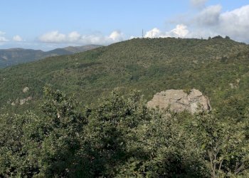 IMG20250911165224.jpg - Rustico Via Marasca 132, Urbe - foto 6