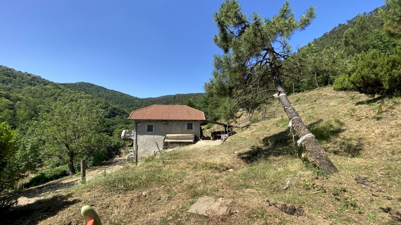 rif 1822 (3).JPEG - Rustic Località Bonuzzo 22, Sassello - photo 3