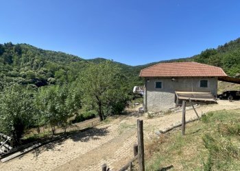 rif 1822 (5).JPEG - Rustico Località Bonuzzo 22, Sassello - foto 4