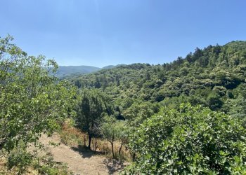 rif 1822 (15).JPEG - Rustico Località Bonuzzo 22, Sassello - foto 15