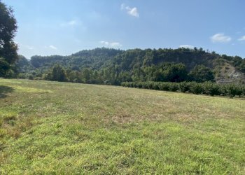 rif 1813 (16).JPEG - Villa Località Fogli 75, Ponzone - foto 6