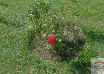 Rif 1810(Copy60).jpg - Villa Località Poggio 2, Sassello - foto 12