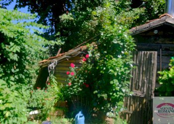 Rif 1796(Copy30).jpg - Casa indipendente Località Poggio 10, Sassello - foto 9