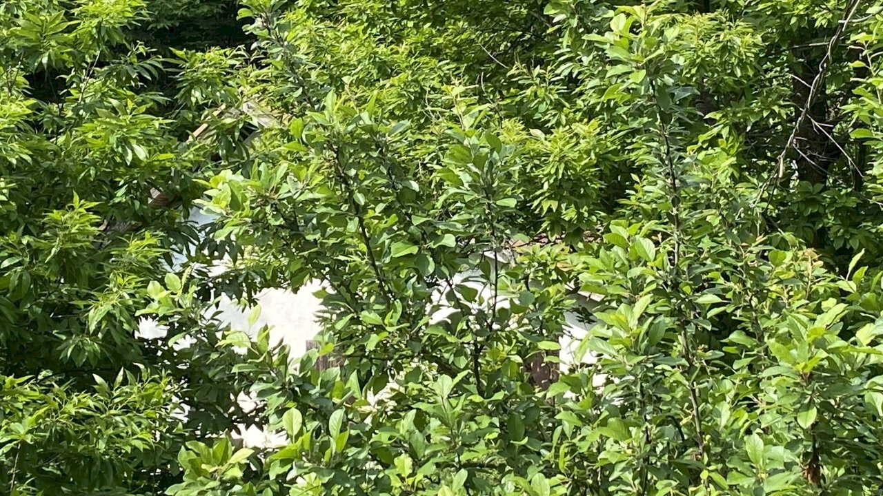 rif 1778 (16).JPEG - Casa indipendente Via Monterosso 11, Tiglieto - foto 3