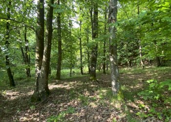 rif 1778 (7).JPEG - Casa indipendente Via Monterosso 11, Tiglieto - foto 4