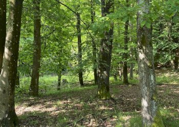 rif 1778 (6).JPEG - Casa indipendente Via Monterosso 11, Tiglieto - foto 5