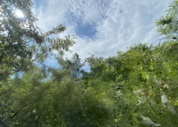 rif 1778 (9).JPEG - Casa indipendente Via Monterosso 11, Tiglieto - foto 8