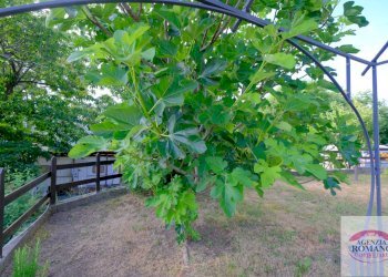 Rif 1774(Copy44).jpg - Baita Via Vallescura 9, Urbe - foto 6