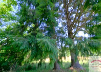 Rif 1770(Copy123).jpg - Terratetto - Terracielo Via Piani di Acquabianca 20, Urbe - foto 14