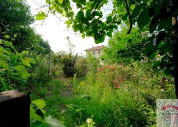 Rif 1763(Copy34).jpg - Casa semi indipendente Frazione Ciglione 85, Ponzone - foto 19