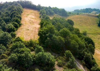 DJI_0754.JPG - Casa indipendente Frazione Cimaferle 213, Ponzone - foto 7