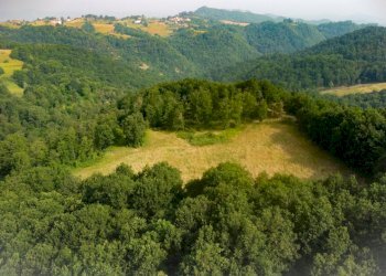 DJI_0760.JPG - Casa indipendente Frazione Cimaferle 213, Ponzone - foto 9