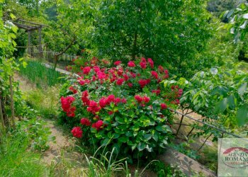 Rif 1761(Copy104).jpg - Casa indipendente Frazione Cimaferle 213, Ponzone - foto 26