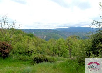 Rif 1754(Copy26).jpg - Villa Frazione Cimaferle 68, Ponzone - foto 10