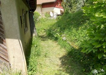 IMG20250516134336.jpg - Casale SP53 65, Urbe - foto 10