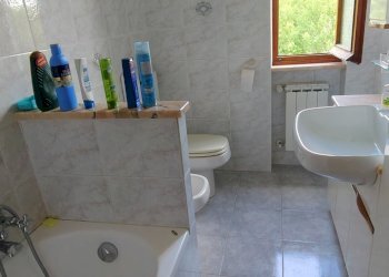 IMG20250516111436.jpg - Casale SP53 65, Urbe - foto 28