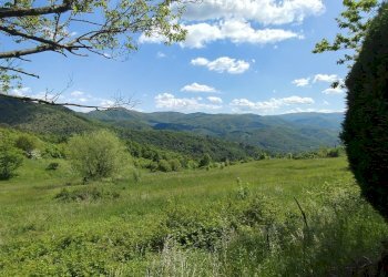 IMG20250516153104.jpg - Villa Via Francia 75, Tiglieto - foto 10