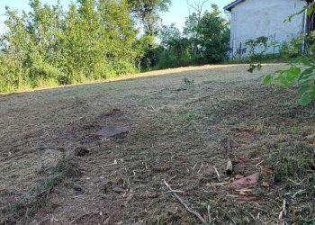 IMG-20250424-WA0010.jpg - Rustic Via al Castello 37, Pareto - photo 3