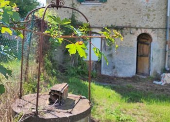 IMG-20250424-WA0029.jpg - Rustic Via al Castello 37, Pareto - photo 4