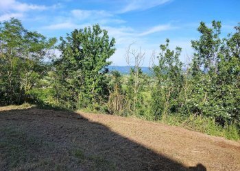 IMG-20250424-WA0016.jpg - Rustic Via al Castello 37, Pareto - photo 26