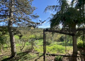 Rif 1737 (18).JPEG - Villa Strada La Colla Moravia 60, Ponzone - foto 12