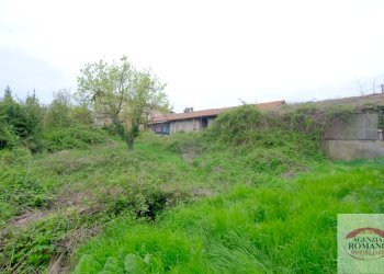 Rif 1736 (45).jpg - Casale Loc. Chiesa 28, Plodio - foto 8