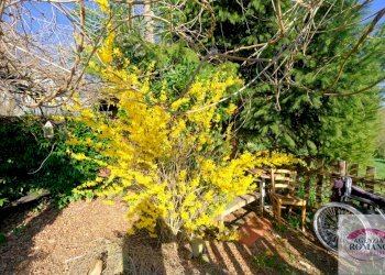 Rif 1735(Copy207).jpg - Rustico SP542 75, Pontinvrea - foto 10