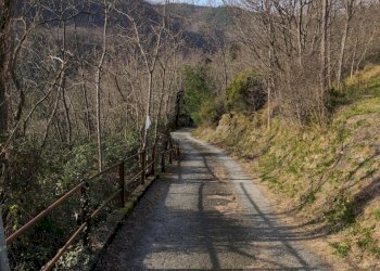 STRADA (2).jpg - Rustico Varazze - foto 15