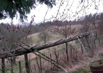 RIF 1499 (19).jpg - Casale SP210 65, Ponzone - foto 16