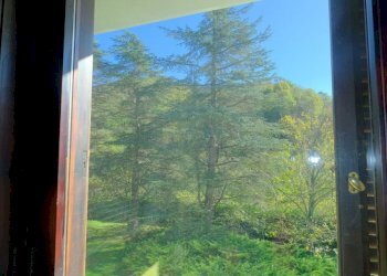 Rif 1408(Copy87).jpg - Villa Via Valle Gargassa 22, Rossiglione - foto 24