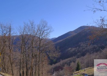 Rif 1358(Copy52).jpg - Villa Via Savona 47, Urbe - foto 9