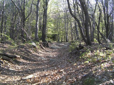SANY0048.JPG - Agricultural land Unnamed Road, Sassello - photo 1