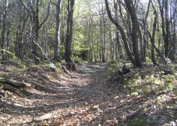 SANY0048.JPG - Terreno agricolo Unnamed Road, Sassello - foto 1