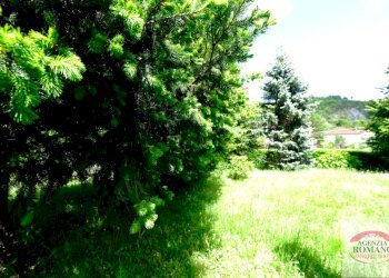 Rif 556(Copy16).jpg - Villa Via Bigatti 6, Pontinvrea - foto 10