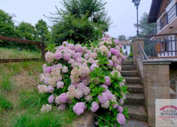 Rif 0103(Copy50).jpg - Villa SP210 39, Ponzone - foto 8