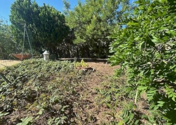 giardino - Villa Andora - foto 21