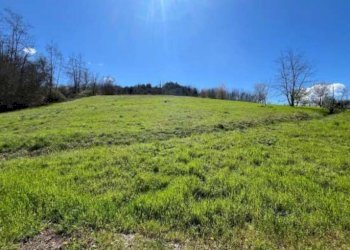 9.jpg - Agriturismo all'asta Regione Piampodazza 5, Montechiaro d'Acqui - foto 8