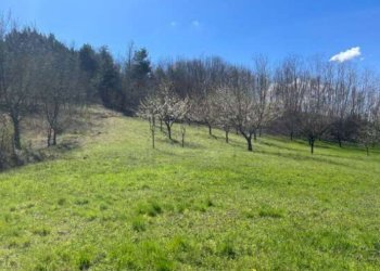 10.jpg - Agriturismo all'asta Regione Piampodazza 5, Montechiaro d'Acqui - foto 9