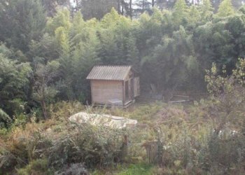 10.jpg - Casa indipendente all'asta Via Vaglimondo Alta 15, Incisa Scapaccino - foto 9