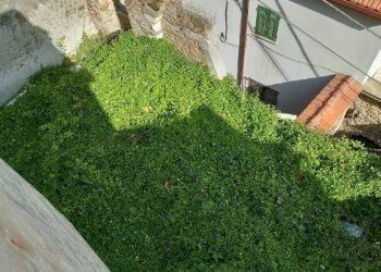 10.jpg - Terratetto - Terracielo all'asta Piazza della Chiesa 12, Luni - foto 9