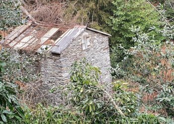 12.jpg - Villa Via Perelli Paradisi 4, Premeno - foto 11