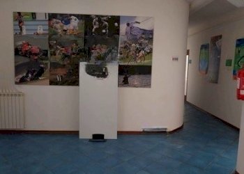 5.jpg - Ufficio Via Maurizio Muller 37, Verbania - foto 4