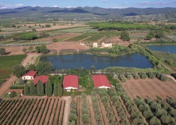 Complesso.jpeg - Terratetto - Terracielo greppi cupi  212, Castagneto Carducci - foto 8