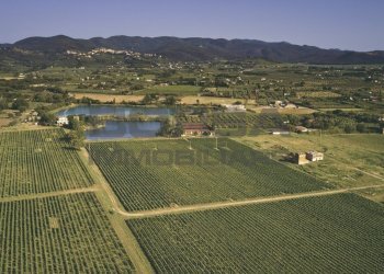 Laghetto.jpeg - Terratetto - Terracielo greppi cupi  212, Castagneto Carducci - foto 12